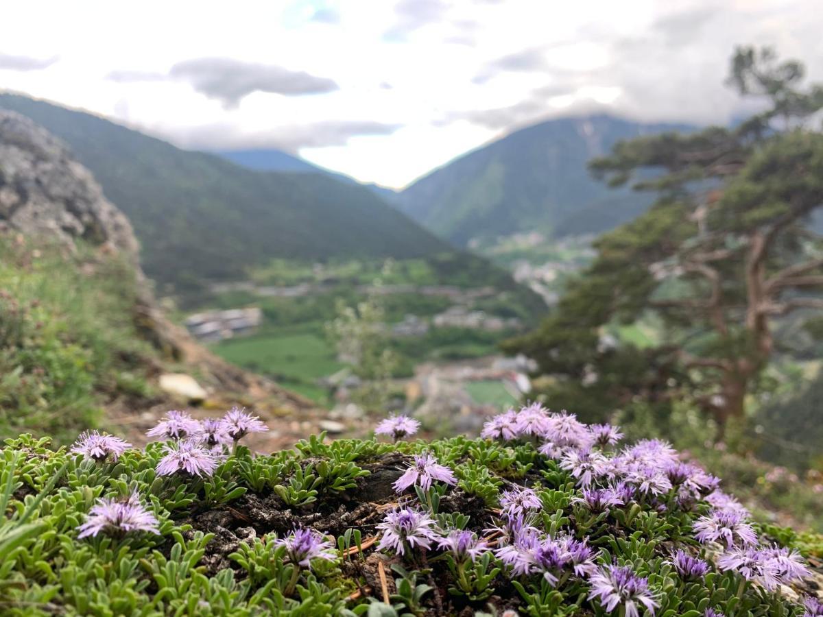 Passamane Pb - Canillo - Casco Antiguo Dış mekan fotoğraf